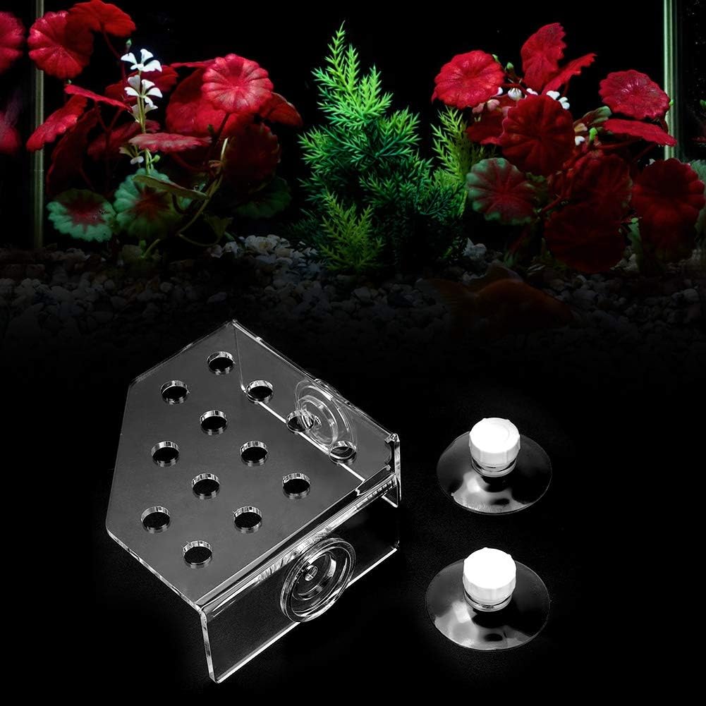 Acrylic Coral Frag Rack with Suction Cup Holder for Aquarium Fish Tank and Reef Tank - Image 3