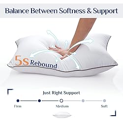 JOLLYVOGUE Pillows Queen Size Set of 2 for