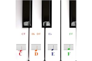 QMG Piano Keyboard Note Stickers for White Keys for Upto 88-Key Keyboards, Bright Colorful Letters, Transparent and Removable, Perfect Visual Tool for Kids and Beginners, 2 Pack