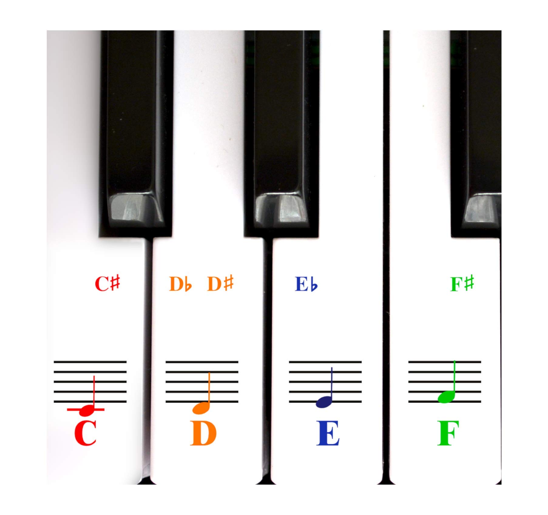 Piano Keyboard Note Stickers for White Keys for Upto 88-Key Keyboards. Bright Colorful Letters, Transparent and Removable, Perfect Visual Tool for Kids and Beginners - 2 Pack