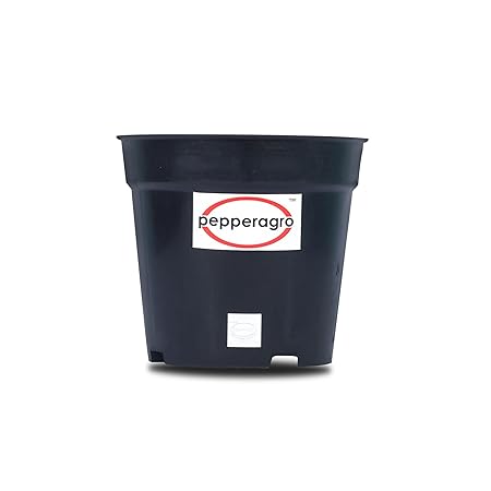 Pepper Agro GPA1002C 6-inch Gardening Planter Black Nursery Pot (18 Qty)
