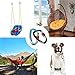 25KN Rock Climbing Carabiner , D-shaped Hot-forged Magnalium Locking Climbing Hook Holds 5511lbs with Screwgate Clip Climber Hiking Karabiner Outdoor Sport Tools CE Certified (Blue, 10 pack)