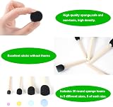 Conda 50 Piece Foam Brush Set Wood Handle - Assorted Sizes for Acrylics Stains view 4