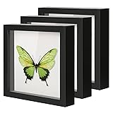 QDSSDECO 8"x8" Shadow Boxes Display Cases with Soft