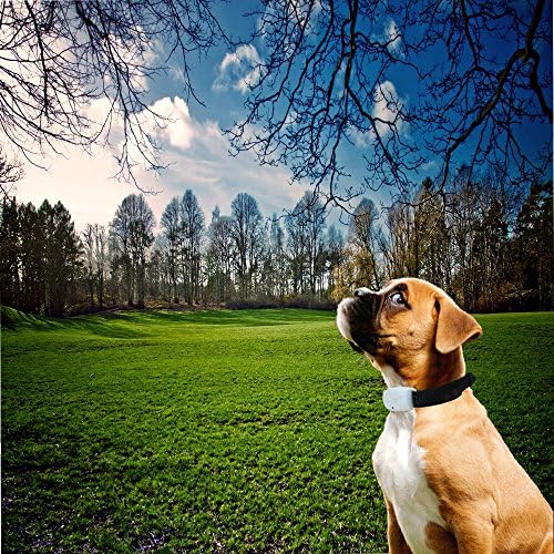 Heaven InZone Ultrasonic Flea &amp; Tick Pest Repeller Collar