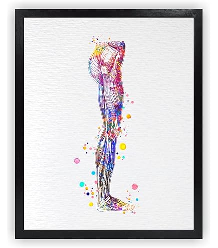 アート・デザイン・音楽 HUMAN ANATOMY FOR ARTISTS Muscles anatomy art - Codex Anatomicus