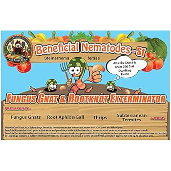 5 Million Live Beneficial Nematodes Sf - Fungus Gnat/Rootknot Gall Exterminator