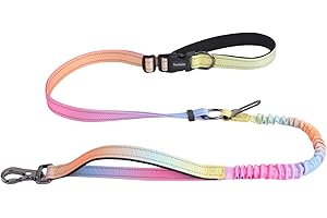 TESITEHI Hands Free Dog Leash for Small Medium Large Dogs, Adjustable Length no Hands Bungee Dog Running Leash, Cross Body, Shoulder & Waist Leash for Walking and Training with Car Seat Belt 4.5-7.5FT