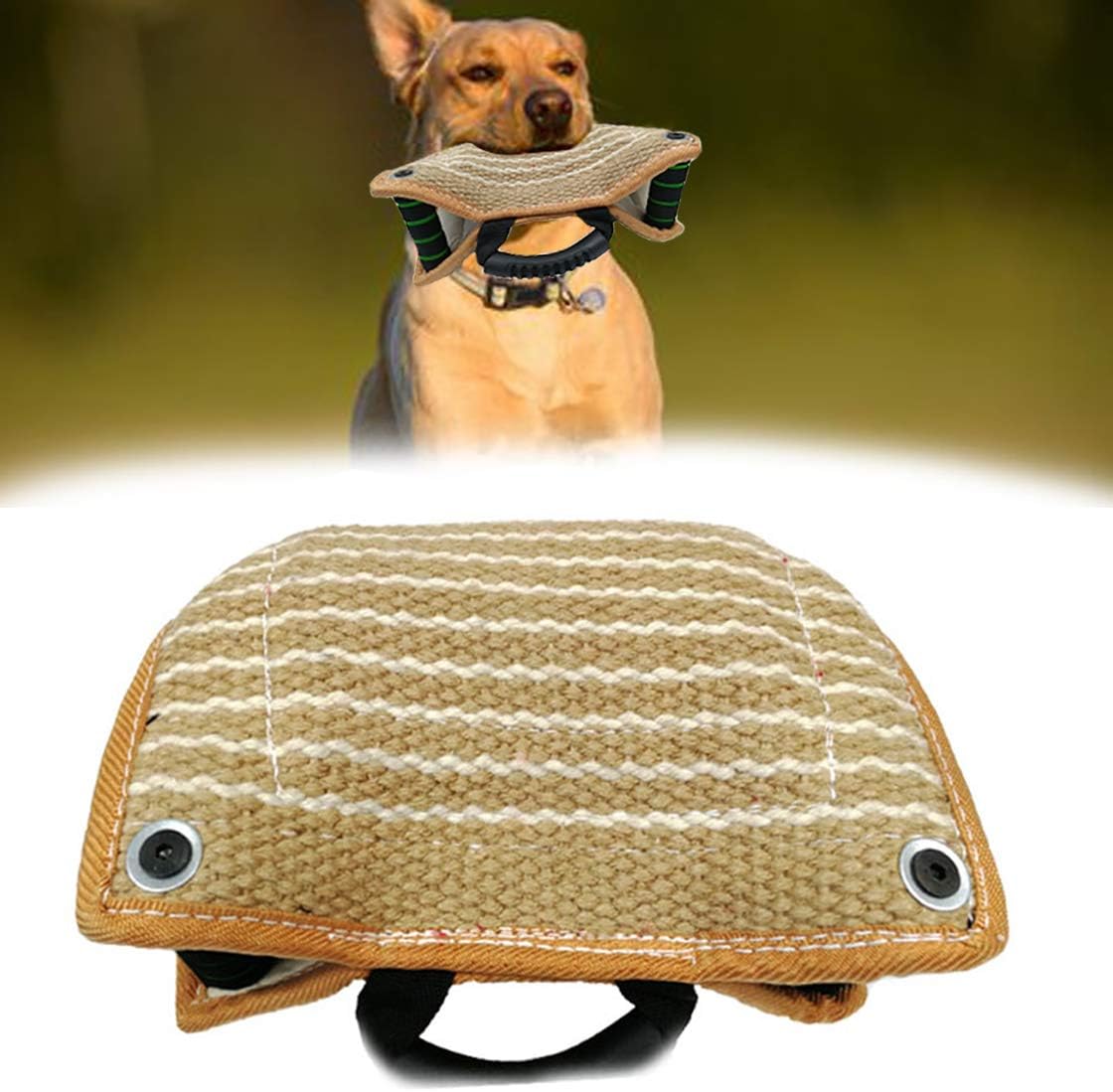 french german shepherd