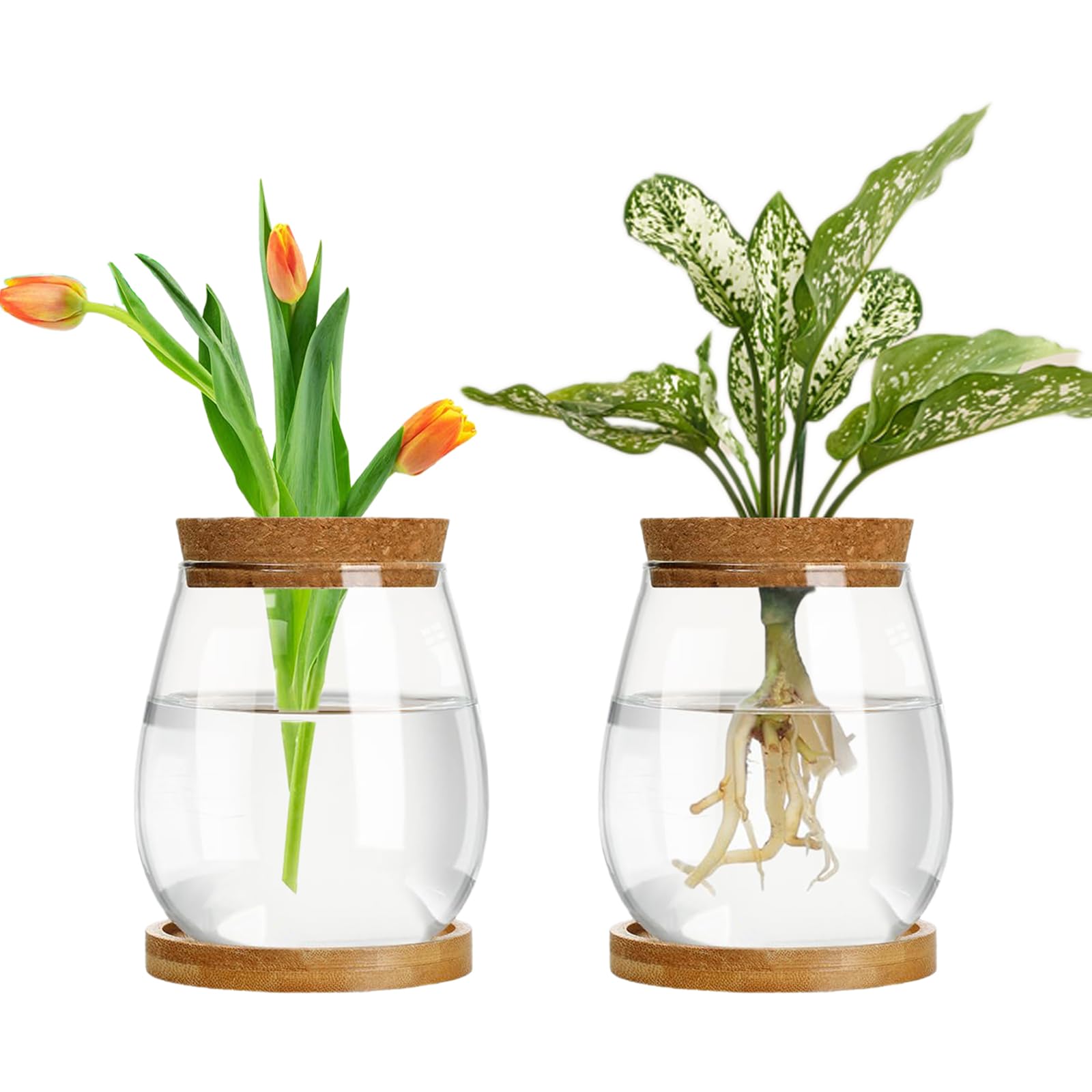 Hniuyun Propagation Station, Desktop Plant Terrarium Glass Vase with Wooden Tray & Lid for Propagating Hydroponic Plants Centerpiece Office Home Decor, 2 Pcs