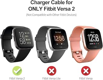 best buy fitbit versa charger
