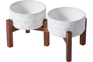 Havniva 6.1inch Ceramic Raised Double Bowls Set with Acacia Wood Stand, 2 Heights Elevated, Food & Water Bowls for Small Breed Dogs, Weighted Dog Dishes, Pet Bowl(27oz, Arctic White)