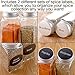 14 Glass Spice Jars Set with Airtight Aluminum Lids | Includes 14 Empty Square Bottles, 239 Labels, and 1 Collapsible Kitchen Funnel | Complete Storage Kit for Spices and Herbs (4oz Containers)