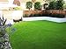 New 15' Foot Roll Artificial Grass Turf Synthetic Fescue Pet Sale! Many Sizes! (2 Turf Samples 12'' x 12'')
