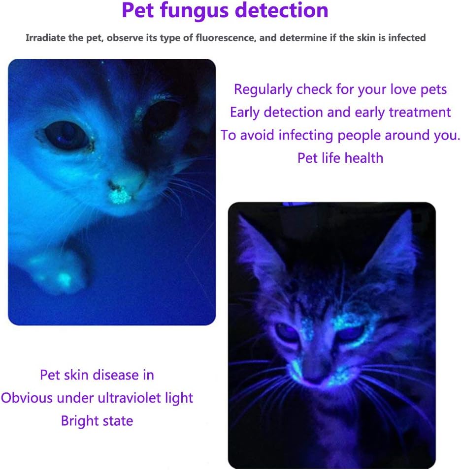 UV LED Black Light Handheld Flashlight Waterproof Flashlights with Filter Lens Lamp Rechargeable Batteries Blacklight Detector for Spot Carpet Pet Urine Stain Catch, Resin Glue Curing Light - - 