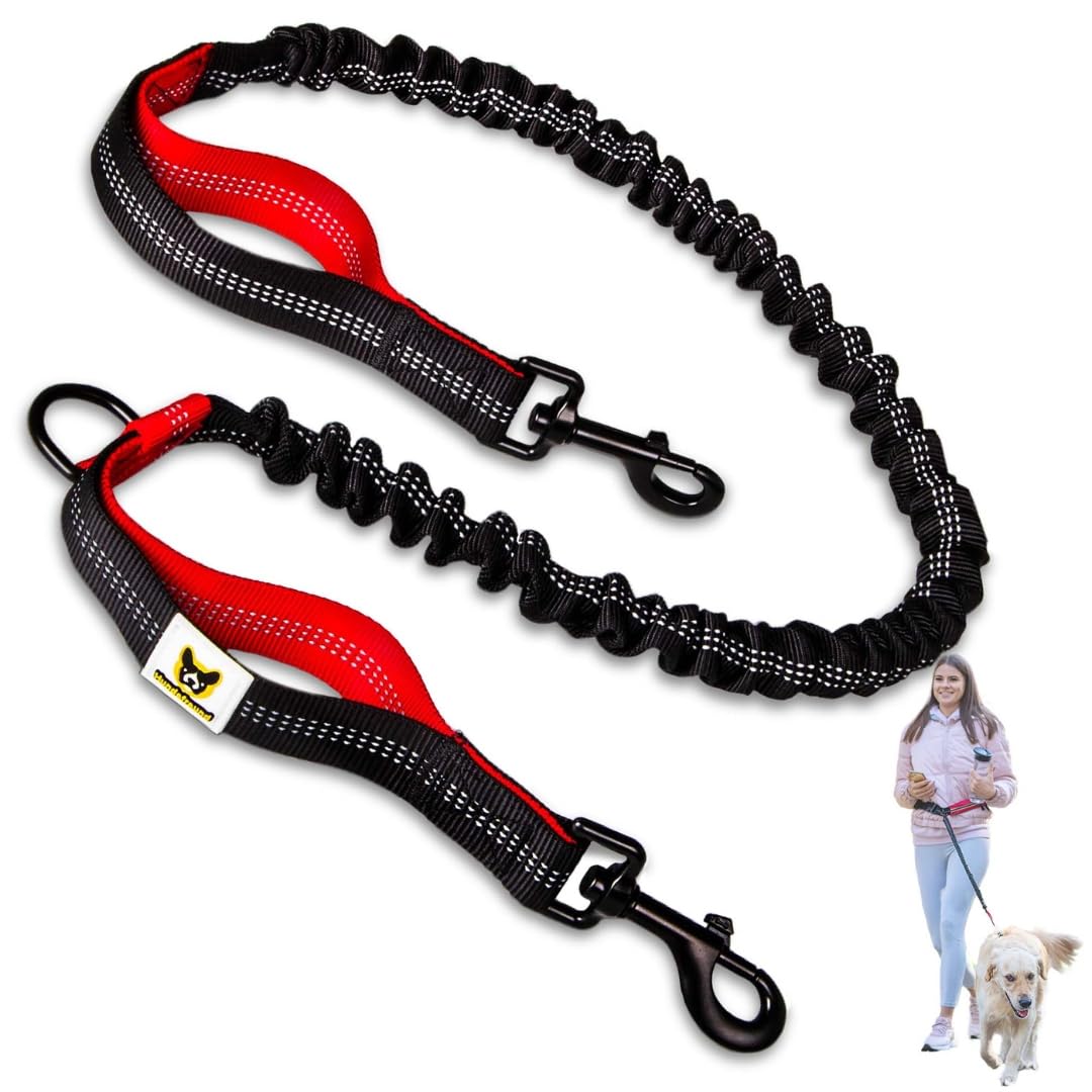 Bungee for jogging leash, extension for dog leash