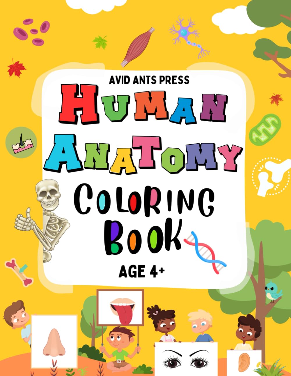 Mua Human Anatomy Coloring Book For Kids: 35+ Human Body Parts And ...