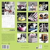 Image de Classic Cats - 2017 Calendar 12 x 12in