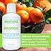 Hair Regrowth Shampoo - Polyactiv Green Apple Complex for Thickening Hair Growth and Restoration - Fast Acting All Natural Formula with Procyanidin B2 Reduces Thinning