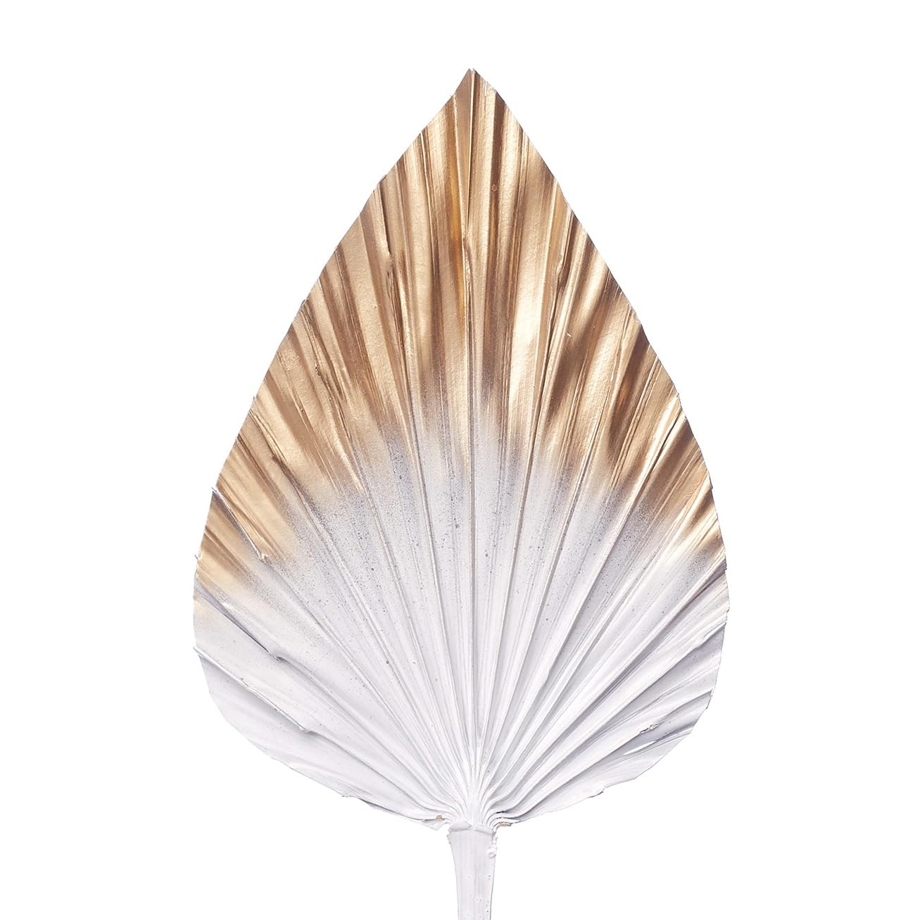 The Baked Studio - Dried Palm Leaf Leaves Palm Spear Cake Topper for Cake Decorations (Gold & White Ombre)