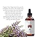 Laritelle Organic Hair Loss Treatment for Men and Women | Fortifying, Strengthening and Follicle Rejuvenating | Stops Hair Shedding, Promotes New Hair Growth | GMO-free. Vegan | 4 oz