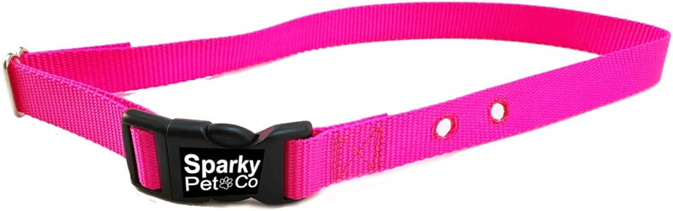 petco invisible fence