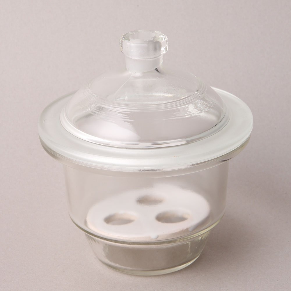 Huaou 300mm Educational Glass Desiccator with Porcelain Plate, Clear