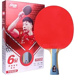 DHS Ping Pong Paddles Professional Table Tennis