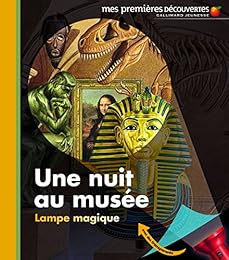 Une  nuit au musée