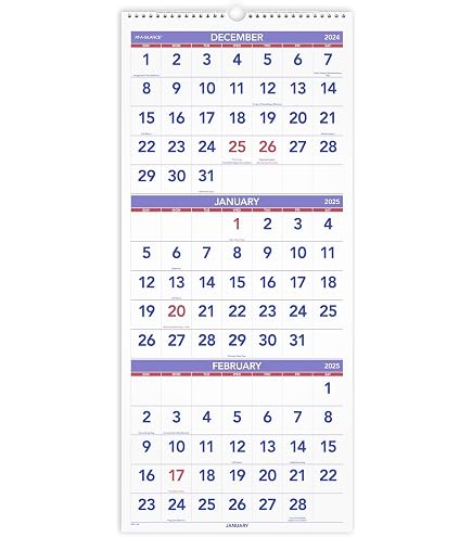 Amazon.com : AT-A-GLANCE 2026 Wall Calendar, 12