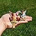 Mood Lab Fairy Garden - Kit with Miniature Figurines and Accessories - Hand Painted Pets Set of 5 pcs - for Outdoor or House Decor