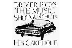 HJ MEDIA Driver Picks The Music Vinyl Window Bumper Sticker Decal 5"