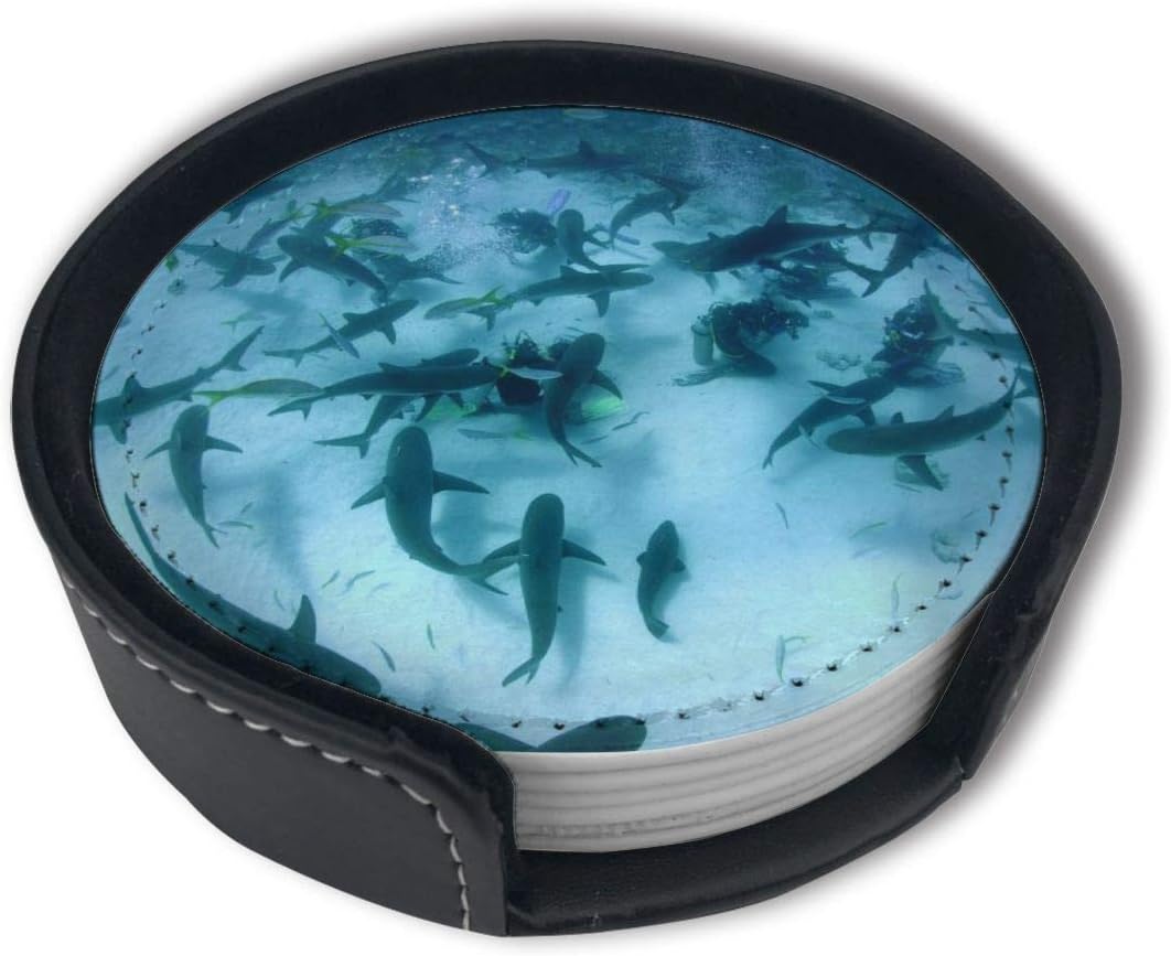 HBLSHISHUAIGE Stuart Cove Shark Diving Bahamas Coasters with Holder Set,Round Mugs and Cups Mat Pad for Drinks,Suitable for Home and Kitchen(6PCS)