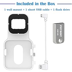 256GB Blink USB Flash Drive and Sync Module 2