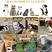 6.5L Pet Feeder,Automatic Cat Feeder Mat Set | Timed Programmable Auto Pet Dog Food Dispenser Feeder for Kitten Puppy – Portion Control Up to 4 Meals/Day,Voice Recording,Battery and Plug-in Power(Mat)thumb 4
