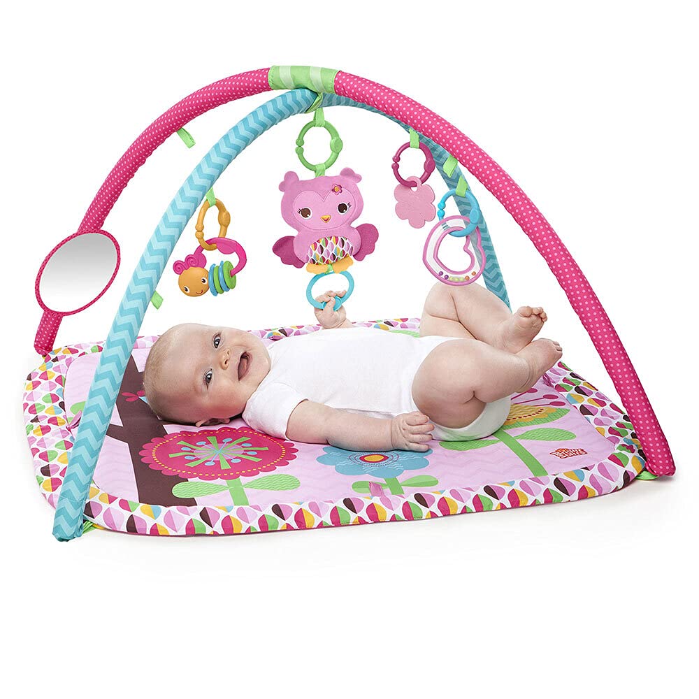 Bright Starts Charming Chirps Activity Gym Toy