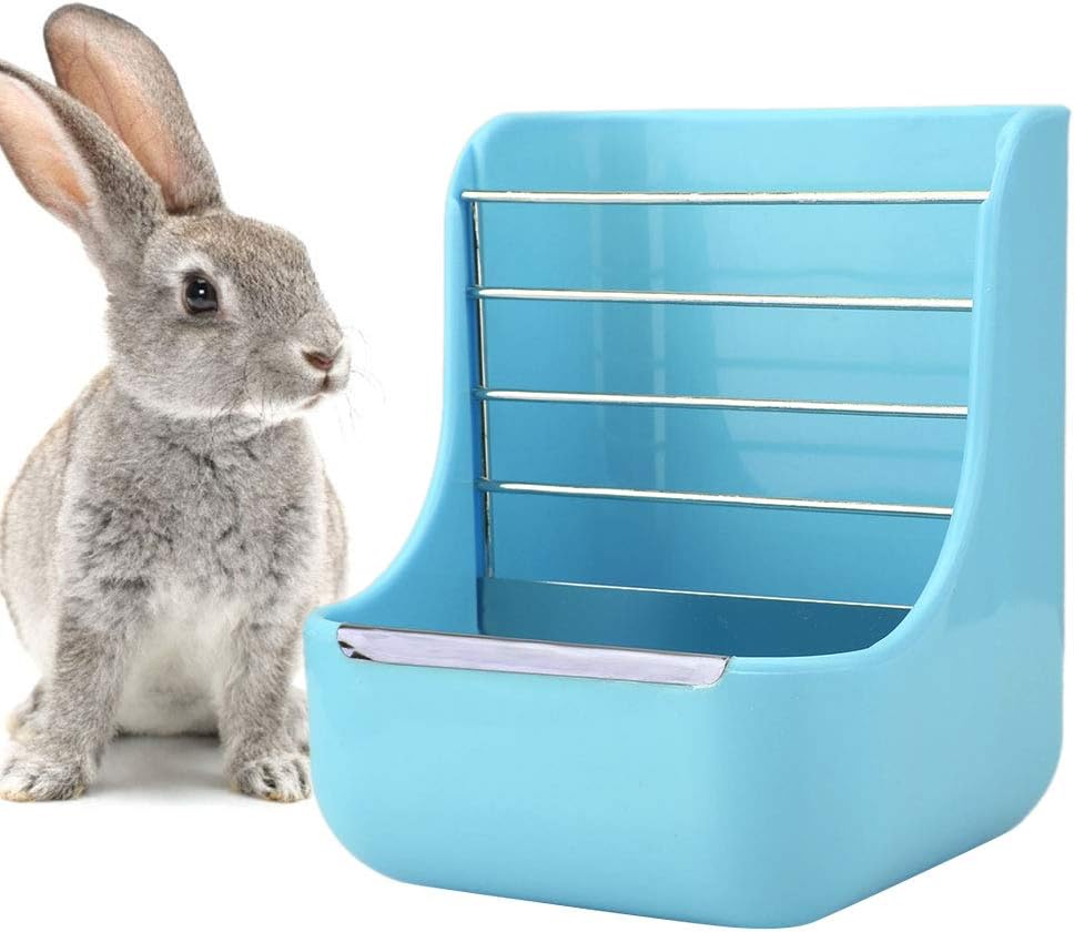 erba di grano per animali domestici