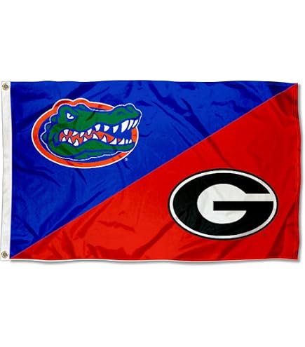 Ncaa House Dvded Mat - Florda State / Clemson