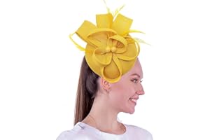 Coolwife Womens Fascinator Hat Sinamay Pillbox Flower Feather Tea Party Derby Wedding Headwear