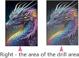 Tomoyuki 5D Diamond Art Kit Dragon Diamond Painting by Numbers for Kids Adults view 5