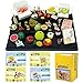 ORCARA Food Miniature Dollhouse Worldwide Fruit And Drink Toy Figure Set of 8