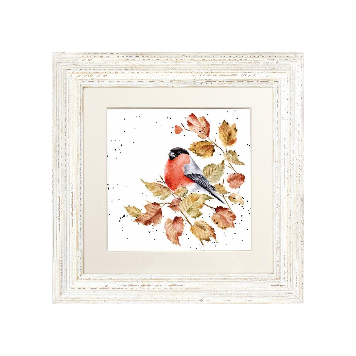 Wrendale Designs Framed Greeting Card Bold and Beautiful bullfinch - in a White Frame