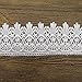Trimscraft 5 Yards 3 Inches Wide Venise Cotton Lace Trims Eyelet Fabric for Garment Accessory DIY Craft Supply in White