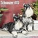 Schnauzer (US) Calendar - Dog Breed Calendars - 2019 - 2020 Wall Calendars - 16 Month by Avonside (M by