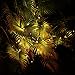 KingDom-LL 50 LED Bulbs Christmas Lights Plug in - AIDDOMM, LED Bulbs String Lights for Outdoor and Indoor, Party, Patio, Warm White, Green Wire, 25 Feet, UL Listed