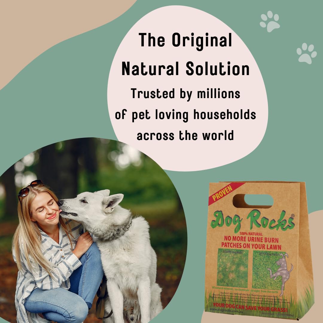 Dog Rocks Dog Pee Grass Neutralizer For Green Grass In 35 Weeks Dog
