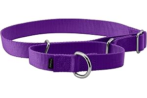 PetSafe Adjustable Martingale Collar - Only Tightens When Dogs Pull, Prevents Slipping Out - Helps with Strong Pullers, Increased Control - Alternative to Choke Collar - 1", Large, Deep Purple