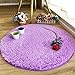 YJ.GWL Fluffy Round Rug Nursery Rug, Purple Circle Rug Kids Rug, 4 x 4 Feet