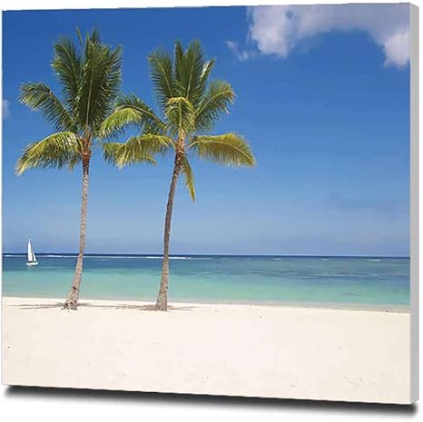 Amazon ヤシの木にモーリシャスストック画像 アートパネル 絵画 フォトフレーム モダン インテリア絵画 壁掛け キャンバス絵画 絵 パネル ポスター おしゃれ アートボード 30x30cm ウォールステッカー オンライン通販