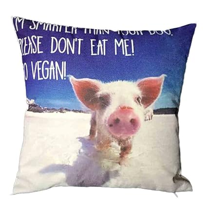 Amazon Com Ilugu Funny Flying Pig Printing Pillow Case
